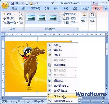 Word 2007оȷüͼƬ